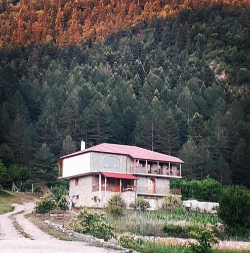 a house with a red roof on a mountain at Bujtina Vila Dodo in Leskovik