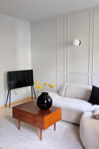 Design Apartments Weimar Altstadtにあるテレビまたはエンターテインメントセンター