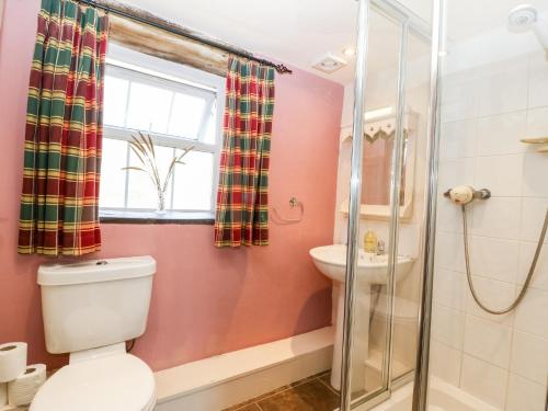 ein Badezimmer mit Toilette und Dusche in der Unterkunft Bwthyn yr Onnen Ash Cottage in Llannor