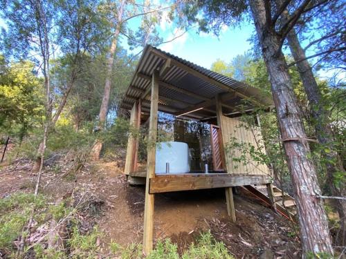 una pequeña casa en medio de un bosque en Lynx Lodge en Waipapa