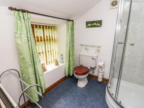 a bathroom with a toilet and a shower at Elm Cottage in Warcop