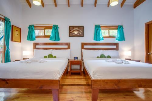 two beds in a room with blue curtains at Mariposa Belize Beach Resort in Placencia Village