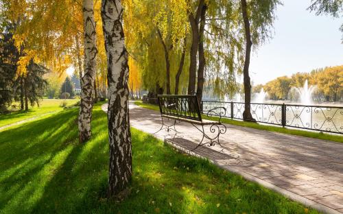 a park bench next to a tree next to a body of water at Swissôtel Wellness Resort Alatau Almaty in Almaty