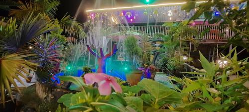a garden with many plants and a fountain at HOTEL POLOMAX in Nainital