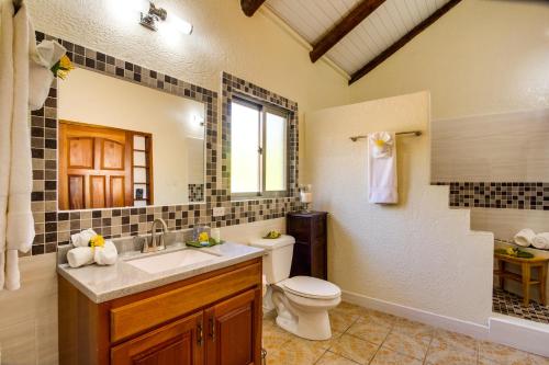 a bathroom with a sink and a toilet and a mirror at Mariposa Belize Beach Resort in Placencia Village