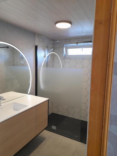 uma casa de banho com um lavatório e um espelho em Le Walker em Francorchamps