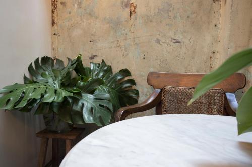 een tafel met een potplant in een kamer bij 1905 Heritage Corner in Bangkok