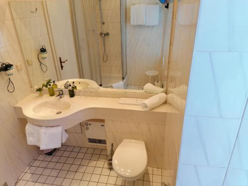 a bathroom with a sink and a toilet and a mirror at Hotel Wendelstein in Rosenheim