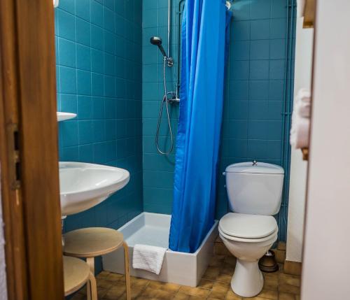 a bathroom with a toilet and a sink and a shower at Hôtel Au Vieux Moulin in Lapoutroie