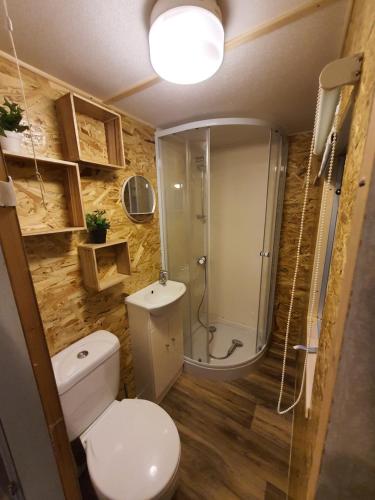 mała łazienka z toaletą i prysznicem w obiekcie Mobilheim v LVA 2 w mieście Podivín