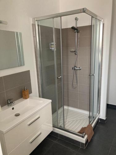 a bathroom with a shower and a white sink at Auberge Sainte Marguerite in La Garde