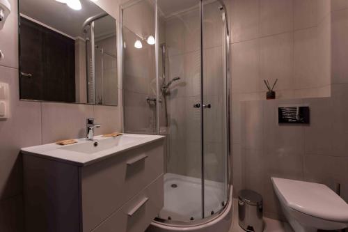a bathroom with a shower and a sink and a toilet at Hotel Do Poduchy in Zawiercie