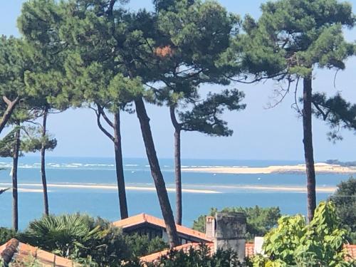 a view of the ocean from a house with trees at Chambre d’hôtes Pyla sur Mer in La Teste-de-Buch