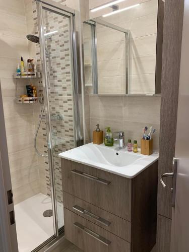 une salle de bain avec un lavabo et une douche dans l'établissement Le cocon de la Garrigue, au Cap d'Agde