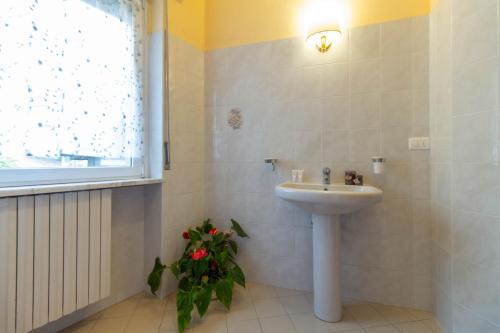 a bathroom with a sink and a window and a plant at La Pineta - Le Casette di Osvaldo in Lecco