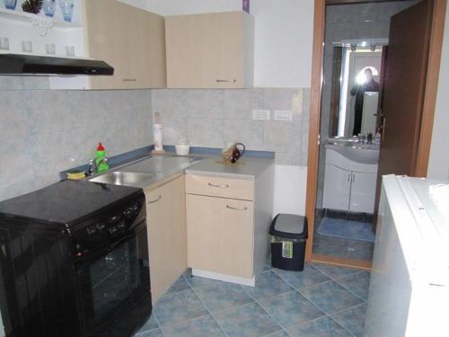 a small kitchen with a sink and a stove at APARTMAJI GOSTILNA STAR MALN , Sečovlje 10 in Sečovlje