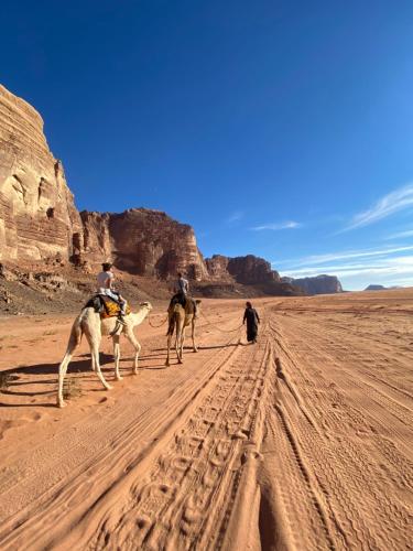 Gallery image of Authentic Wadi Rum camp & tours in Wadi Rum