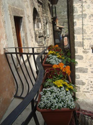 a group of potted plants on the side of a building at La Casa dei Nonni B&B in Scanno