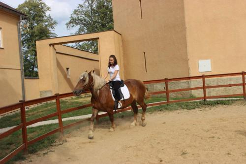 a woman riding a horse next to a fence at Zámecký Dvůr Černousy in V Poli
