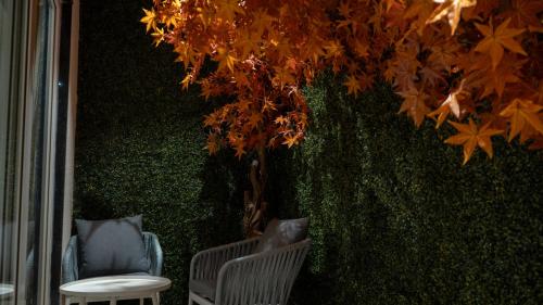 a green wall with two chairs and a tree at Clarks Inn Suites Kangra in Kangra