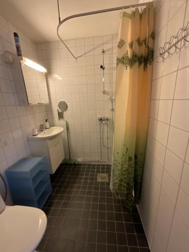 a bathroom with a shower and a toilet and a sink at Asikkalan Motelli in Vesivehmaa