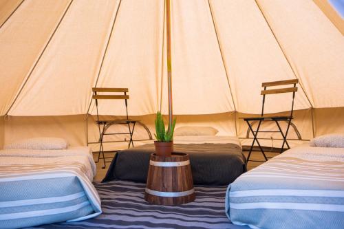 une tente avec 2 lits et une plante en pot dans l'établissement Le repère du pin sec - Glamping & Surfcamp, à Naujac-sur-Mer