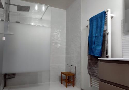a bathroom with a shower and a blue towel at La Peyrova in Saint-Sulpice-les-Feuilles
