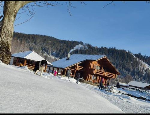 CABANA de POVESTE durante el invierno