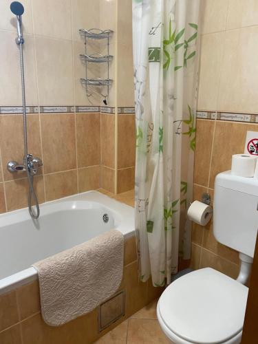 a bathroom with a tub and a toilet and a sink at Apartments Villa Viktoria in Tivat
