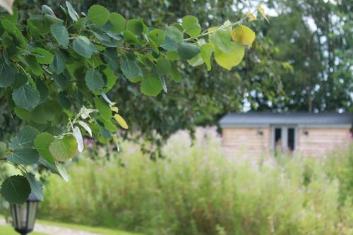 Κήπος έξω από το Luxury Shepherds Hut - The Sweet Pea by the lake