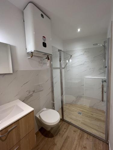 une salle de bain avec une douche, des toilettes et un lavabo dans l'établissement Le Flocon, à Saint-Étienne