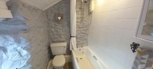 a bathroom with a white toilet and a bath tub at Merrion Cottage Penmachno Betws y Coed Conwy in Penmachno