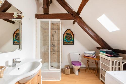 ein Bad mit einem Waschbecken und einem WC in der Unterkunft La Pierre Blanche 