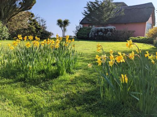 Mole Cottage – Photos 3