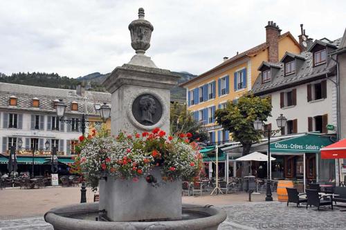 a fountain with flowers in the middle of a town at Barcelonnette studio 2 personnes in Barcelonnette