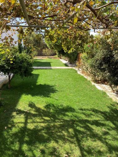 Сад в Ninemia Naxos Suites