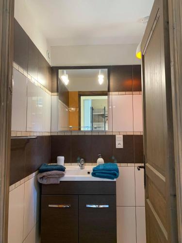 une salle de bain avec un lavabo et un miroir dans l'établissement Gites des Casernes, à Saint-Christophe