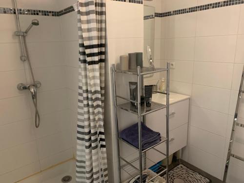 y baño con cortina de ducha y estante. en Appartement Fodéré 2, en Niza