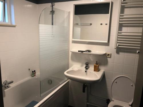 a bathroom with a sink and a toilet and a shower at Dunes & Sea at Kijkduin in The Hague