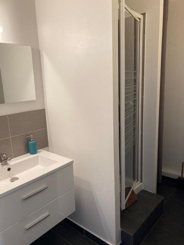 a bathroom with a white sink and a shower at Auberge Sainte Marguerite in La Garde