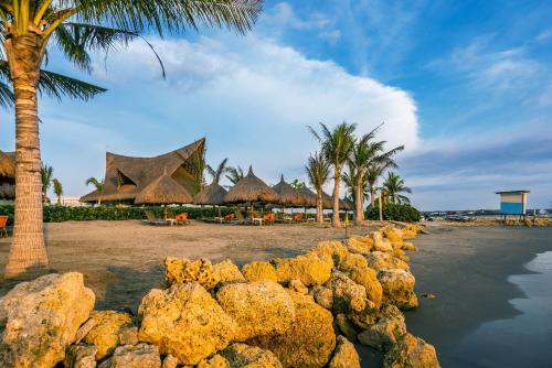 une plage avec quelques palmiers et quelques rochers dans l'établissement Dreams Karibana Cartagena Golf & Spa Resort, à Carthagène des Indes