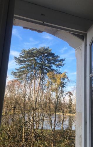 una ventana con vistas a un árbol desde una casa en Studio à Rambouillet en Rambouillet