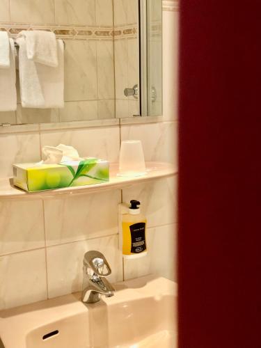 a bathroom with a sink and a mirror at Montana Hotel Köln-Bonn Airport in Troisdorf