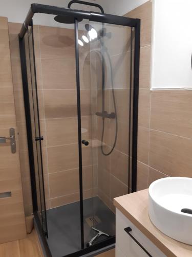 une douche avec une porte en verre à côté d'un lavabo dans l'établissement Studio cosy spacieux lumineux avec terrasse, à Vézelois