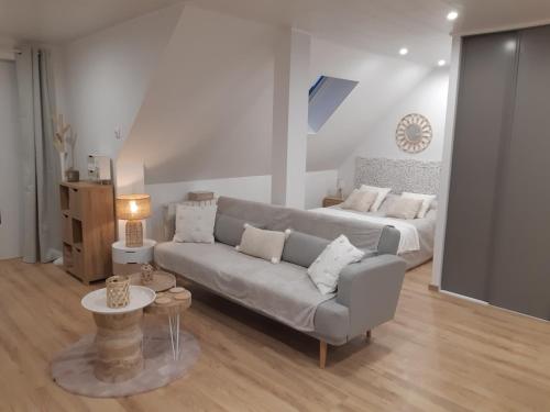 uma sala de estar com um sofá e uma cama em Studio cosy spacieux lumineux avec terrasse em Vézelois