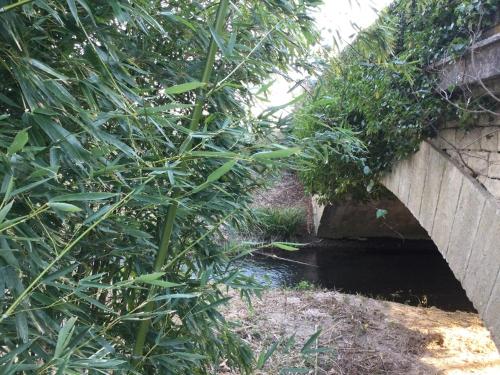 Φωτογραφία από το άλμπουμ του Gite du pont de l'hérein σε Tulette
