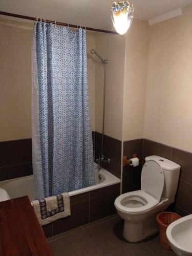 a bathroom with a toilet and a shower curtain at Apartamento playa in Boiro