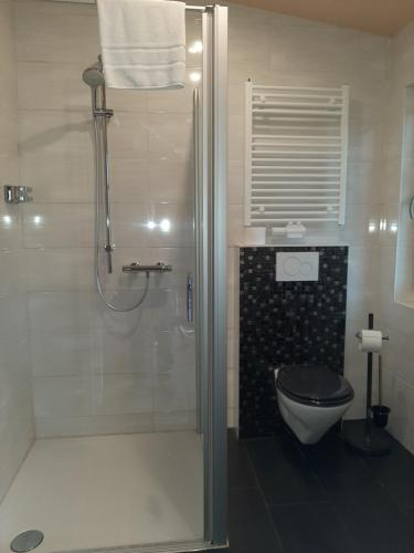 a bathroom with a shower and a toilet at Landhotel Fuchsbau in Vohenstrauß