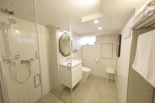 a bathroom with a shower and a toilet and a mirror at Großzügige und gemütliche 2 Zimmer Ferienwohnung nahe Alz und Chiemsee in Tacherting