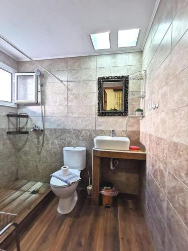 a bathroom with a toilet and a sink at Villa Anna in Limenas